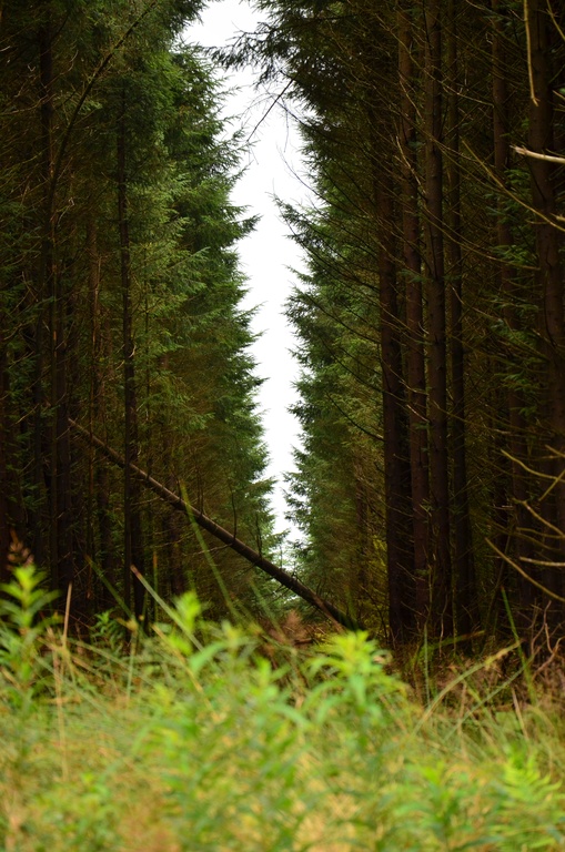 2016-08-20 South Wales/DSC_0175.JPG